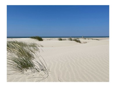 Holiday house Haus Zeeland - Environment photo 29