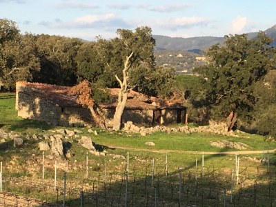 Holiday house Mas de Village - Environment photo 50