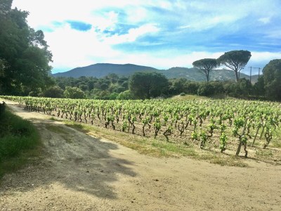 Holiday house Mas de Village - Environment photo 52