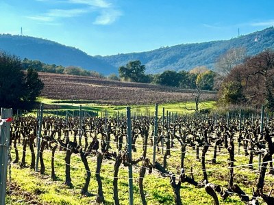 Holiday house Mas de Village - Environment photo 53