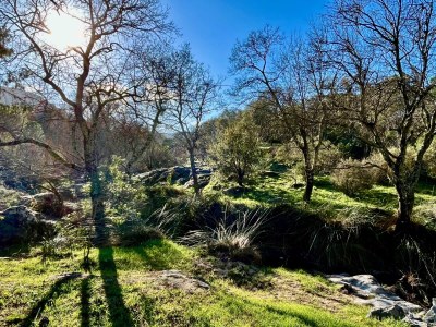 Holiday house Mas de Village - Environment photo 54