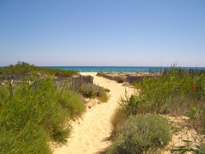 Holiday house Mas de Village - Environment photo 56