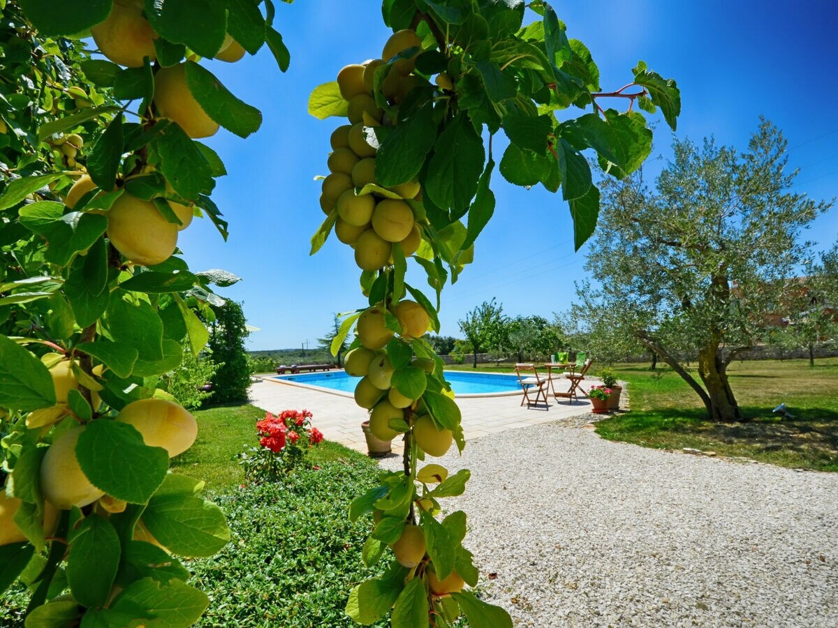 Villa Villa Benka with pool in Istria - Outdoor photo 4