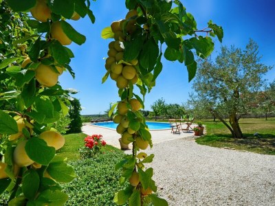 Villa Villa Benka with pool in Istria - Outdoor photo 4