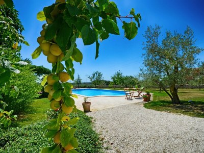 Villa Villa Benka with pool in Istria - Outdoor photo 6