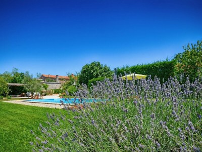 Villa Villa Benka with pool in Istria - Outdoor photo 7