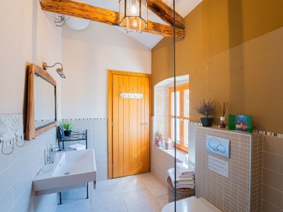 Villa Villa Benka with pool in Istria - Features photo 37