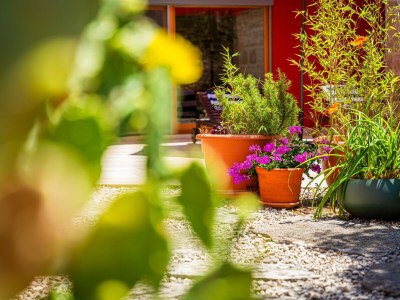 Villa Villa Benka with pool in Istria - Outdoor photo 50
