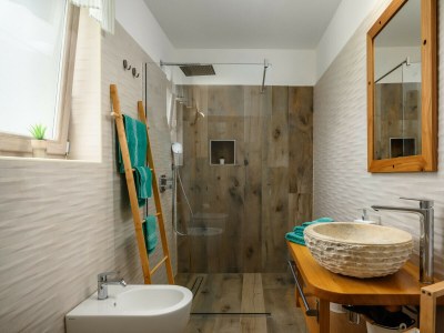 Villa Villa Stella Polaris with pool in Visnjan, Istria - Features photo 24