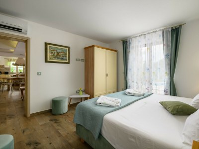 Villa Villa Stella Polaris with pool in Visnjan, Istria - Features photo 30