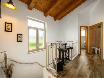 Villa Villa Stella Polaris with pool in Visnjan, Istria - Features photo 32