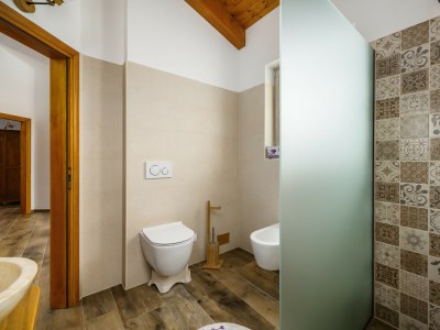 Villa Villa Stella Polaris with pool in Visnjan, Istria - Features photo 34