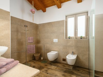 Villa Villa Stella Polaris with pool in Visnjan, Istria - Features photo 35