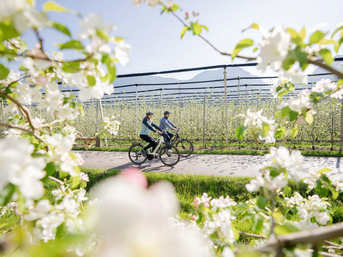 Holiday apartment Himmelblau