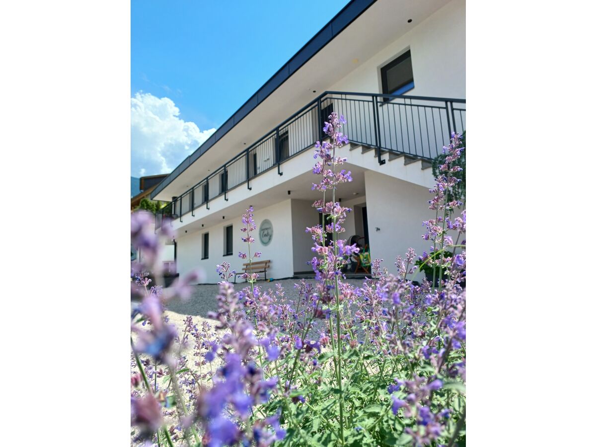 Holiday apartment Himmelblau - Outdoor photo 2