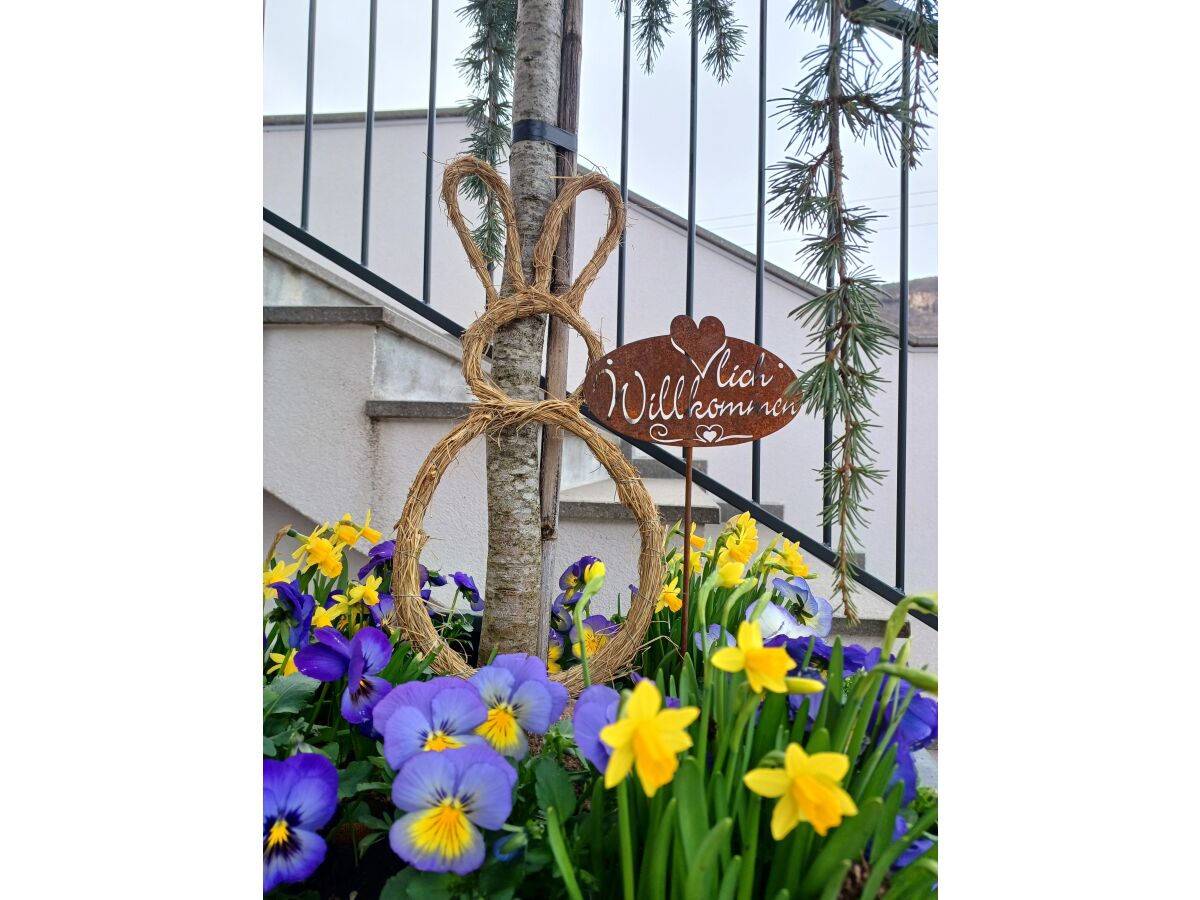 Holiday apartment Himmelblau - Outdoor photo 3