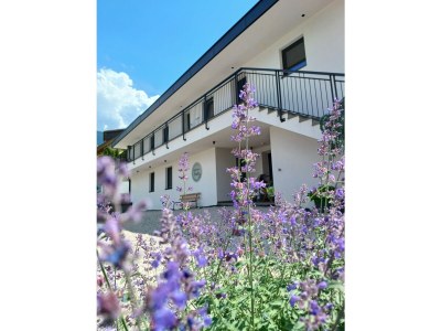 Holiday apartment Himmelblau - Outdoor photo 2