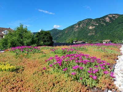 Holiday apartment Himmelblau - Outdoor photo 5