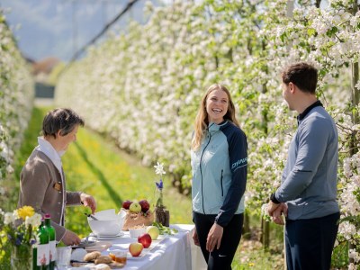 Holiday apartment Himmelblau - Environment photo 20