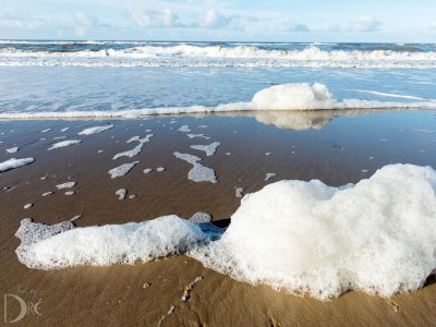 Apartment Sterflat 195 - Environment photo 23