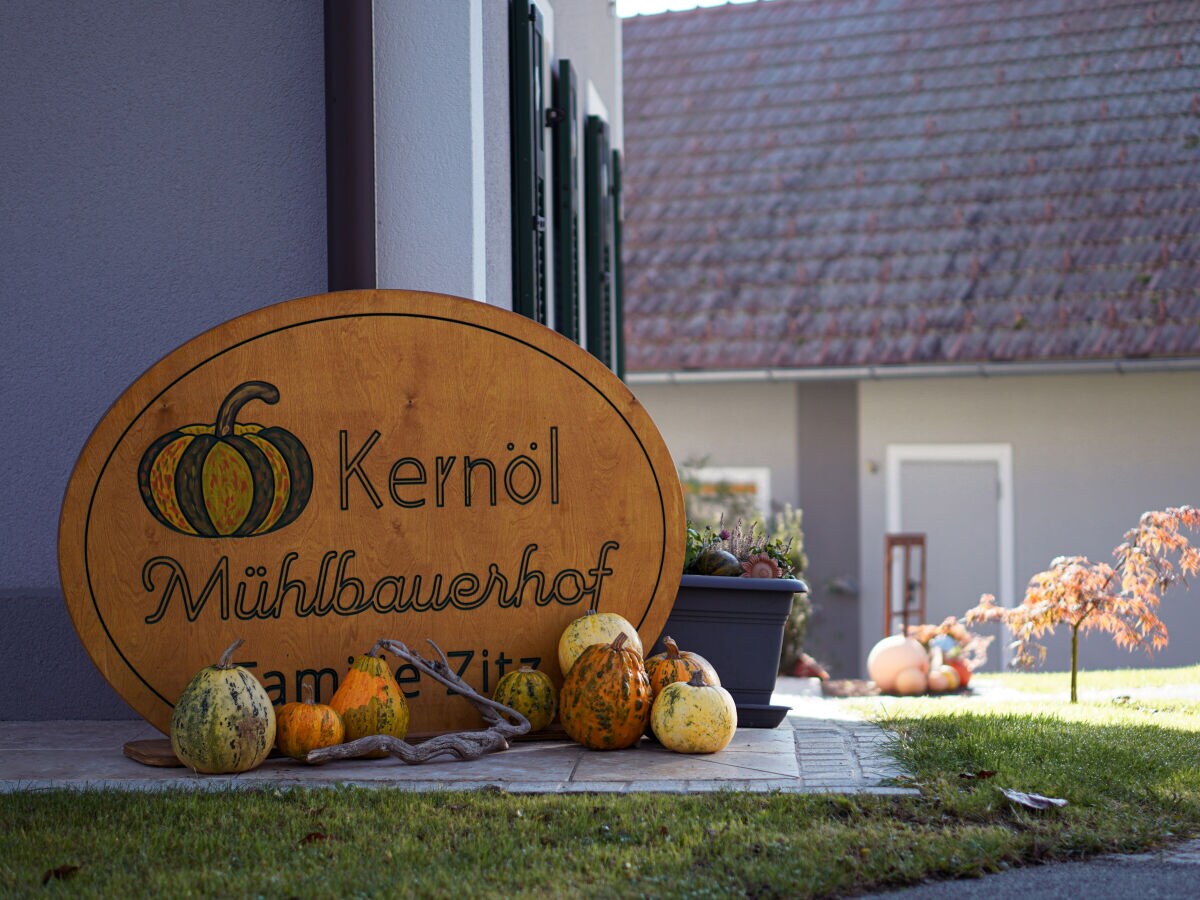 Holiday apartment MÃ¼hlbauerhof - Outdoor photo 2