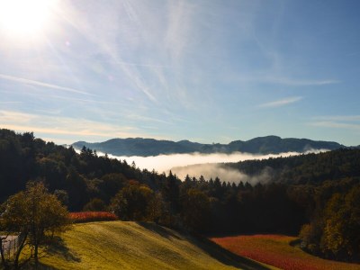 Holiday apartment MÃ¼hlbauerhof - Environment photo 24