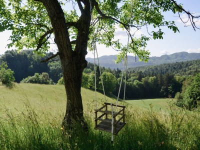 Holiday apartment MÃ¼hlbauerhof - Environment photo 27