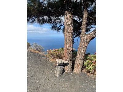 Holiday house Country estate in the south of the island - Outdoor photo 13