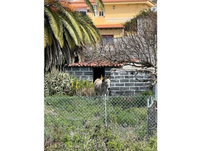 Holiday house Country estate in the south of the island - Outdoor photo 19