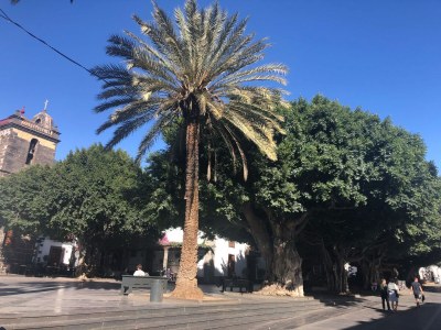 Holiday house Country estate in the south of the island - Outdoor photo 20