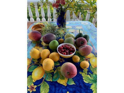 Holiday house Country estate in the south of the island - Outdoor photo 25