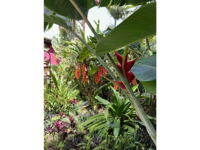 Holiday house Country estate in the south of the island - Outdoor photo 26