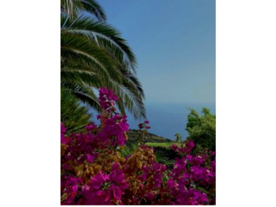 Holiday house Country estate in the south of the island - Outdoor photo 32