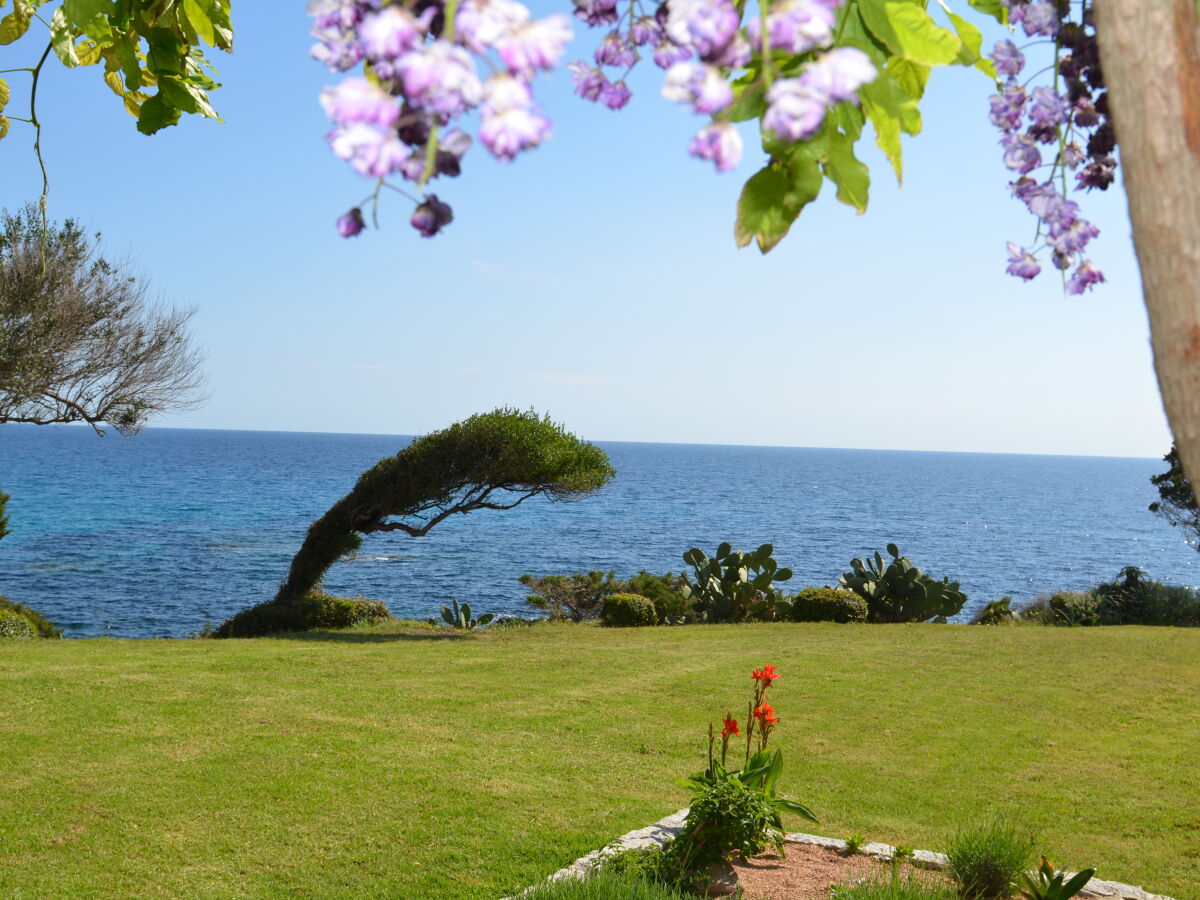 Holiday house Right on the beach - Outdoor photo 4