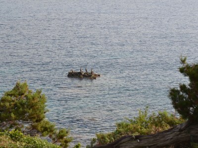 Holiday house Right on the beach - Outdoor photo 8