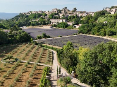 Villa Domaine de Valmenon - Outdoor photo 4