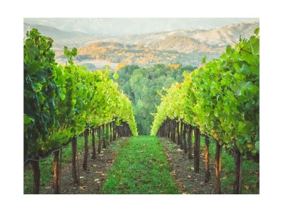 Villa Domaine de Valmenon - Environment photo 40