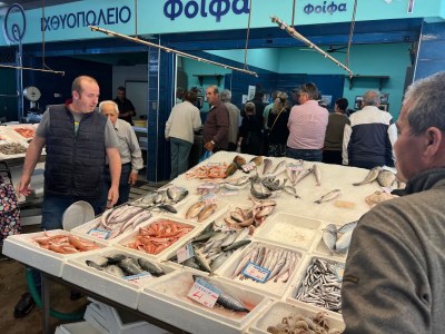 Villa Villa Rosa - Environment photo 38