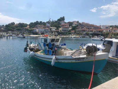 Villa Villa Rosa - Environment photo 40