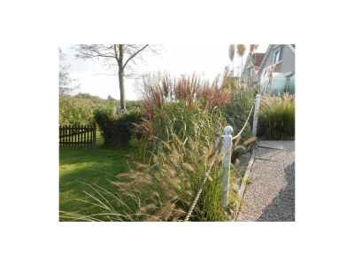 Holiday house Makkum house, Friesland, NL - Outdoor photo 6