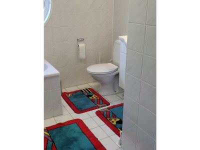 Holiday house Makkum house, Friesland, NL - Features photo 17