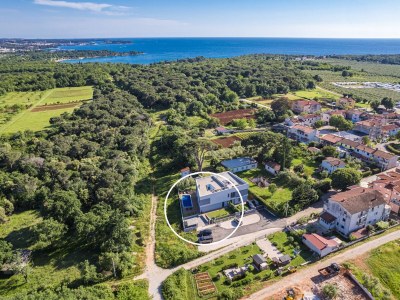 Villa Villa Pinus - Environment photo 71