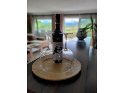 Apartment Appartement mit Bergblick - Features photo 11