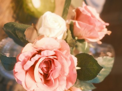 Apartment Appartement mit Bergblick - Features photo 21