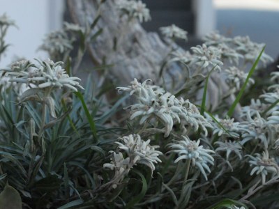 Apartment Apartment "Bergwelt" - Outdoor photo 2