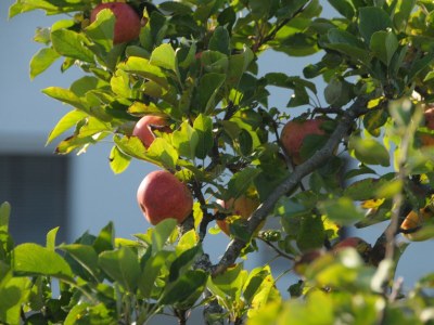 Apartment Apartment "Bergwelt" - Outdoor photo 3