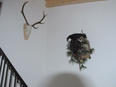 Apartment Apartment "Bergwelt" - Features photo 22