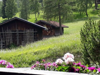 Apartment Appartement, Dusche und Bad - Outdoor photo 28