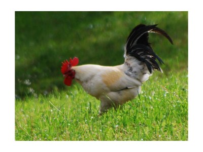 Apartment Appartement, Dusche und Bad - Outdoor photo 29