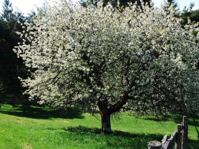 Apartment Appartement, Dusche und Bad - Outdoor photo 31